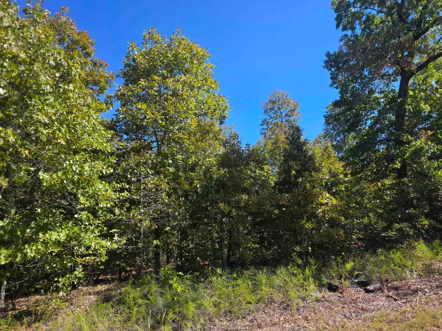 1106 S Michigan Avenue, Horseshoe Bend, AR 72512 - #3