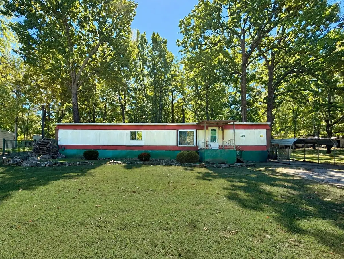 115 N Circle Drive, Ash Flat, AR 72513 - #1