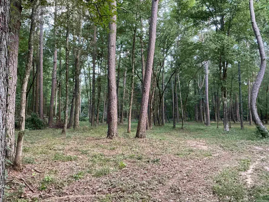 Address Withheld By Seller, Damascus, AR 72039 - #2