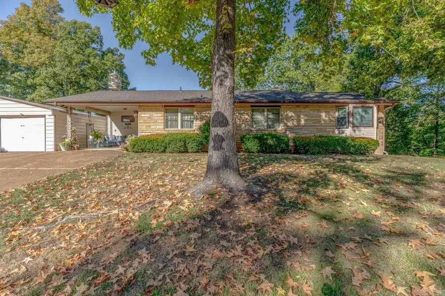 1319 Riverview Dr, Horseshoe Bend, AR 72512 - #3