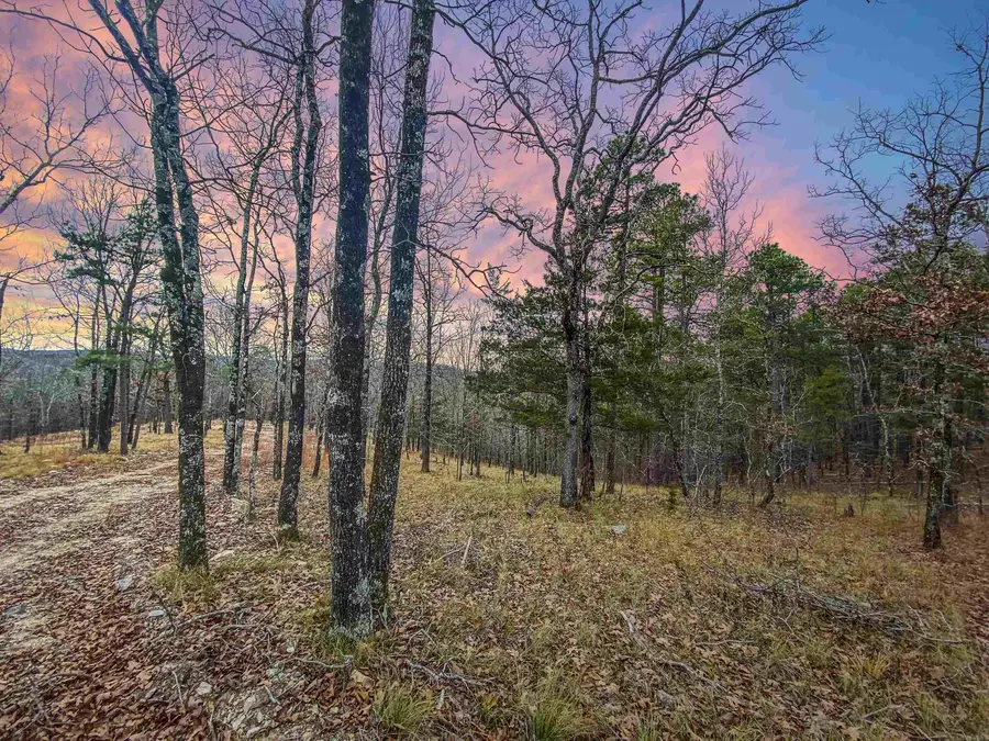 000 Shorthorn Lane, Hot Springs, AR 71901 - #2