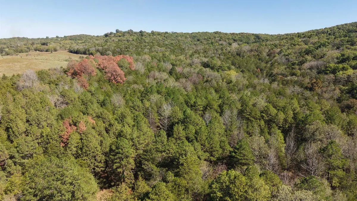 8A Lafferty Road, Mount Pleasant, AR 72561 - #1