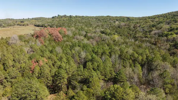 8A Lafferty Road, Mount Pleasant, AR 72561