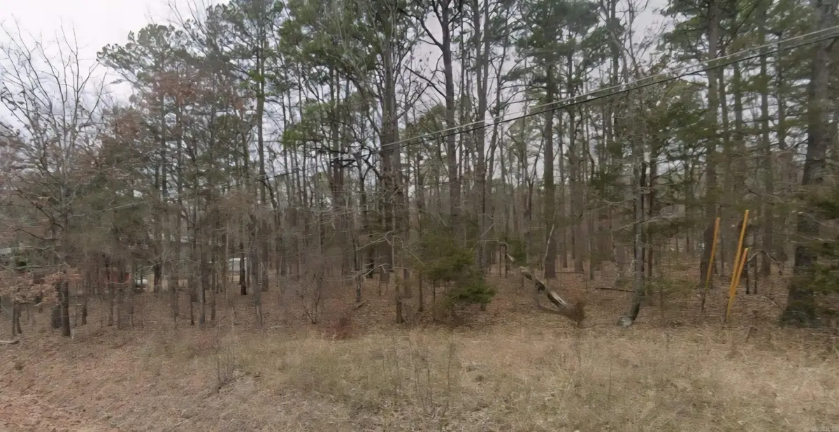 Lot 100 Robinhood Trail, Fairfield Bay, AR 72088 - #1