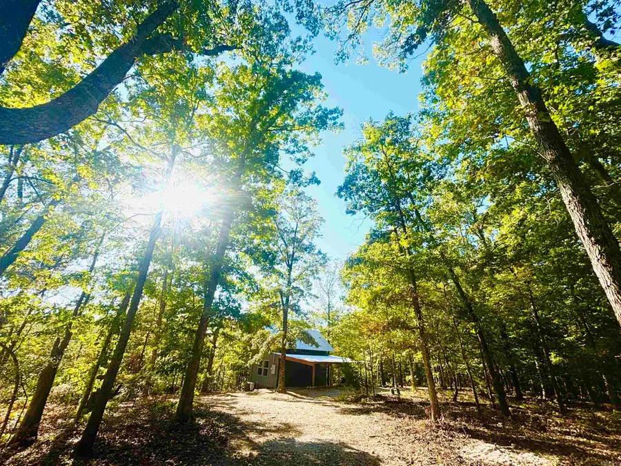 261 Mitchell Road, Mountain View, AR 72560 - #2