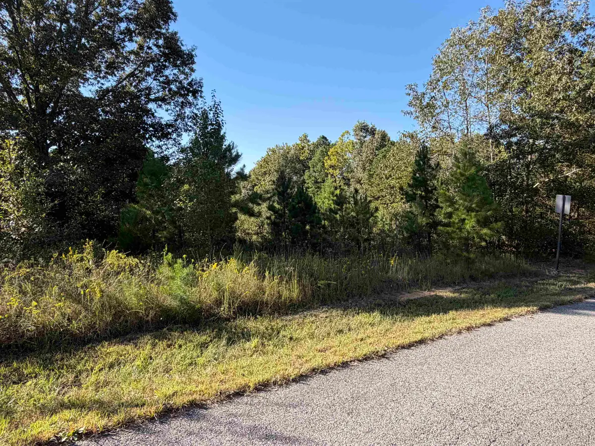 Lot 31 Plantation Circle, Melbourne, AR 72556 - #1