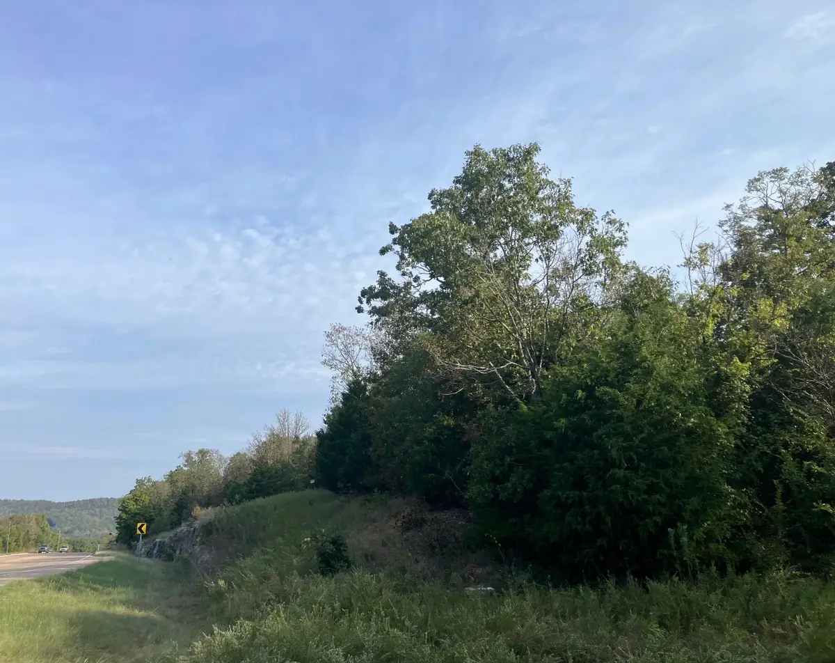 TBD Hwy 62/412, Hardy, AR 72542 - #1