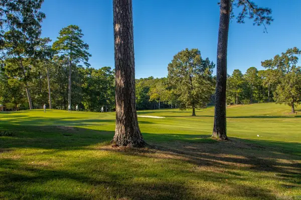 20 Durango Way, Hot Springs Village, AR 71909