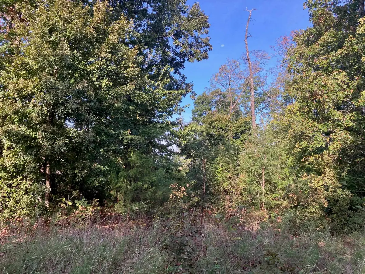 TBD Tucker Road, Hardy, AR 72542 - #1