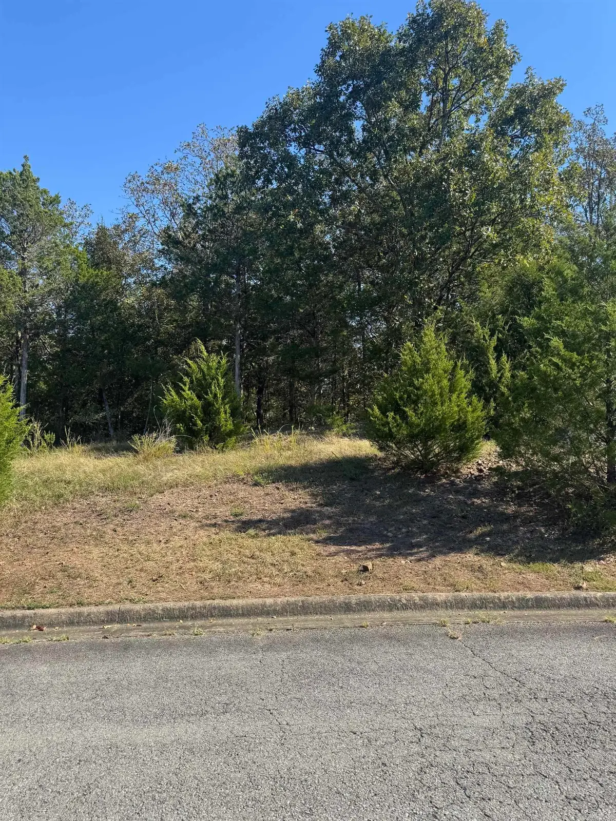 970 Timber Knoll Drive, Conway, AR 72034 - #1