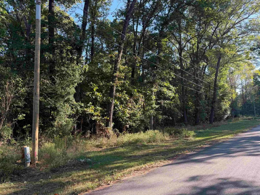 Lot 18 & 19 Sweetwater, Ward, AR 72176 - #2