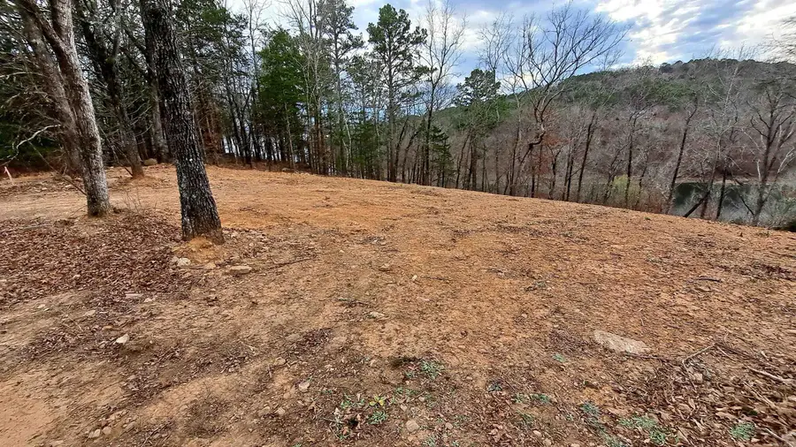 Lot 14/Block 6 Lynn Creek Dr., Fairfield Bay, AR 72088 - #3