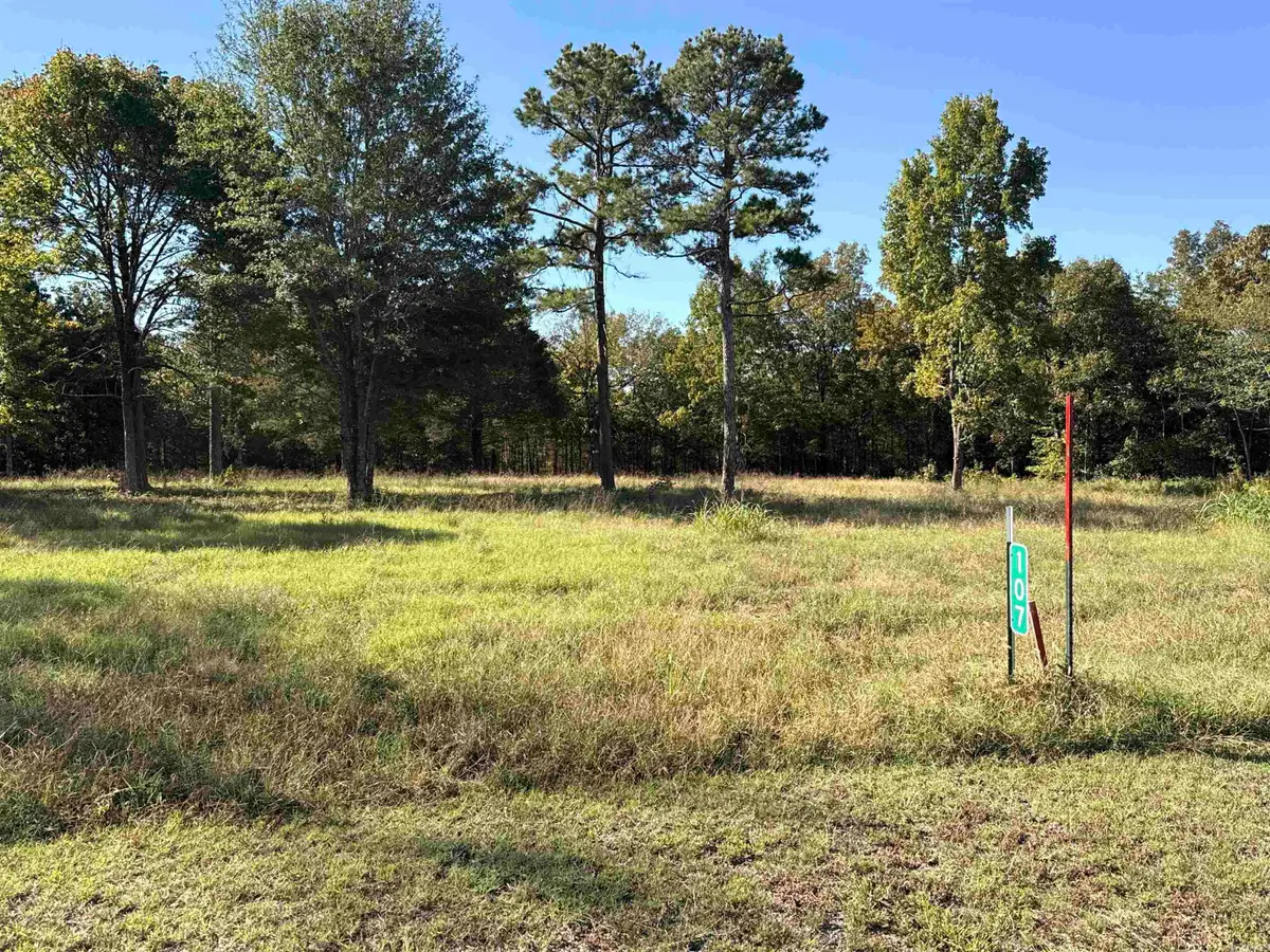 107 Eagle Ridge Dr., Greers Ferry, AR 72067 - #1