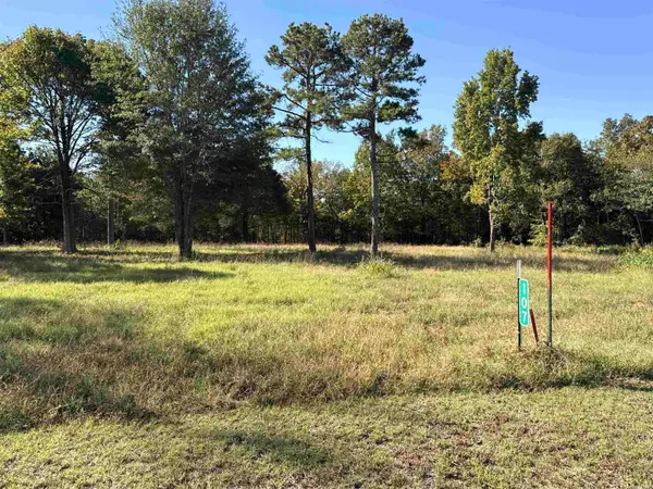 107 Eagle Ridge Dr., Greers Ferry, AR 72067