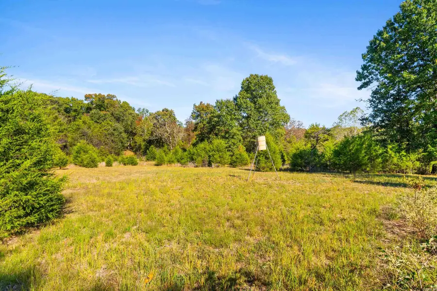 Tract 1 Cr 144, Oakland, AR 72661 - #2