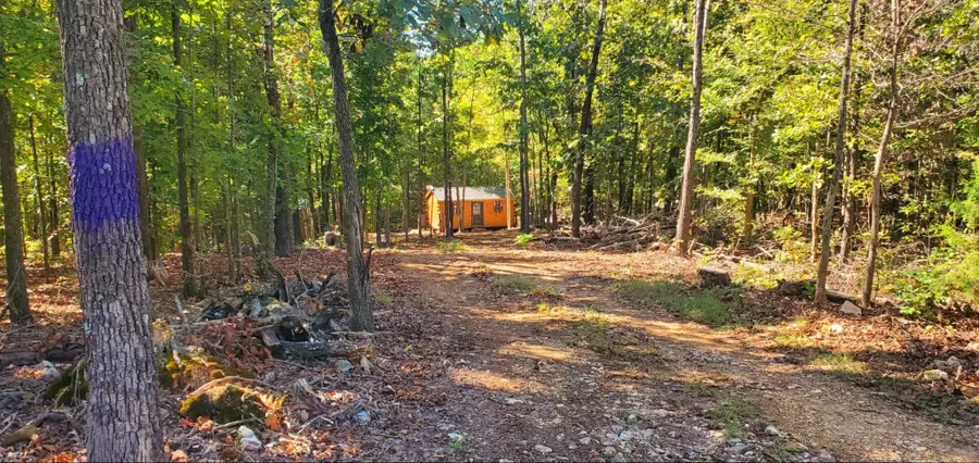 446 Dutchmans Hollow Lane, Mammoth Spring, AR 72554 - #2
