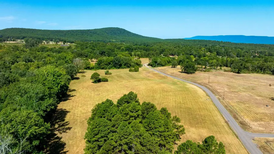 15350 Bailey Branch Rd, Danville, AR 72833 - #3
