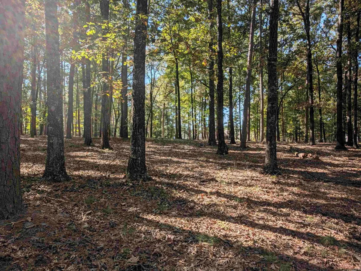 515 Easy Street, Drasco, AR 72530 - #1