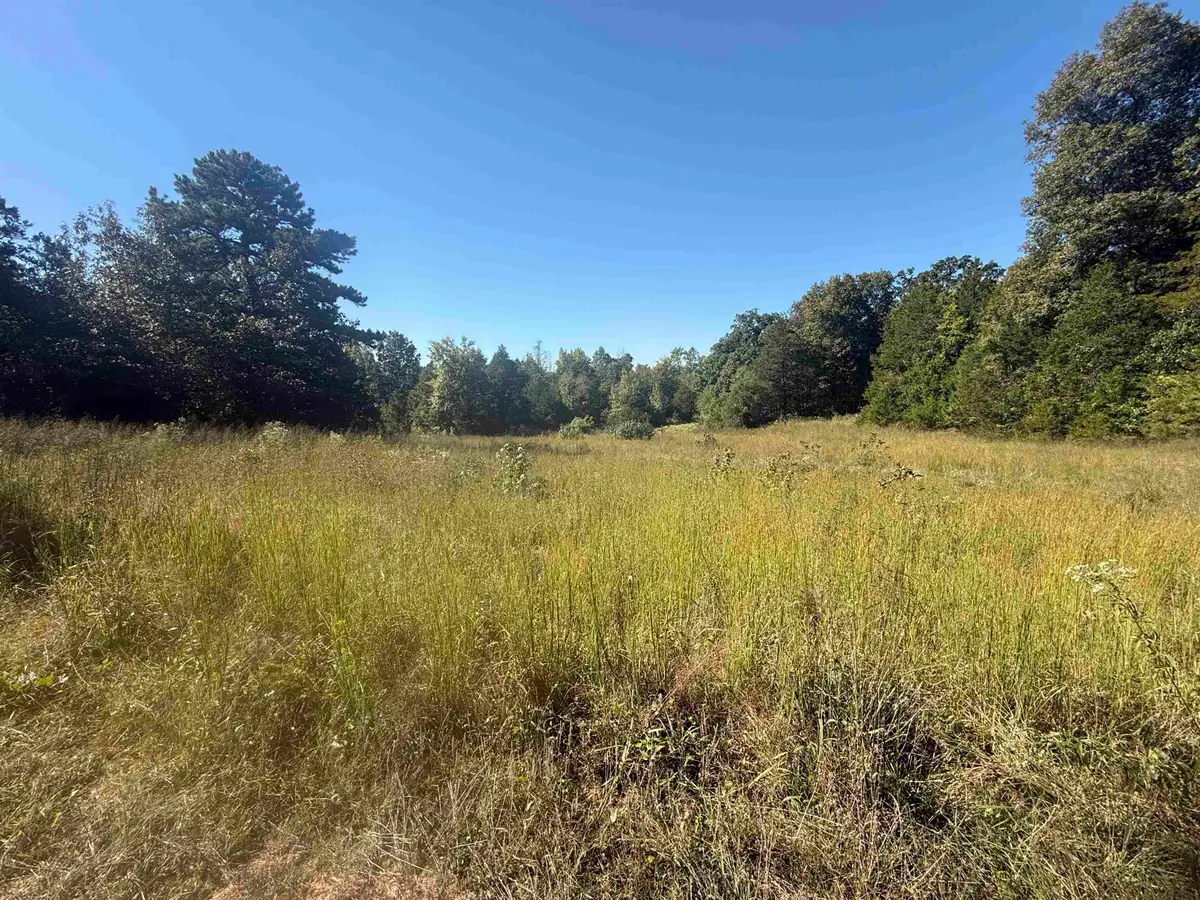58 Gorby Road, Calico Rock, AR 72519 - #1