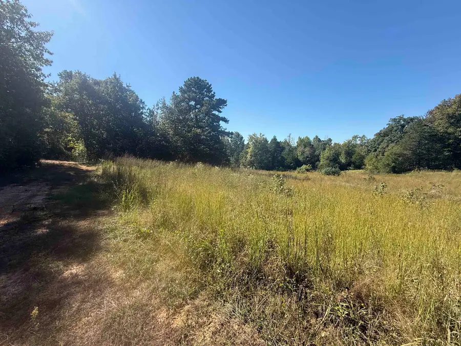 58 Gorby Road, Calico Rock, AR 72519 - #2