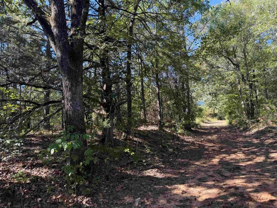 58 Gorby Road, Calico Rock, AR 72519 - #3