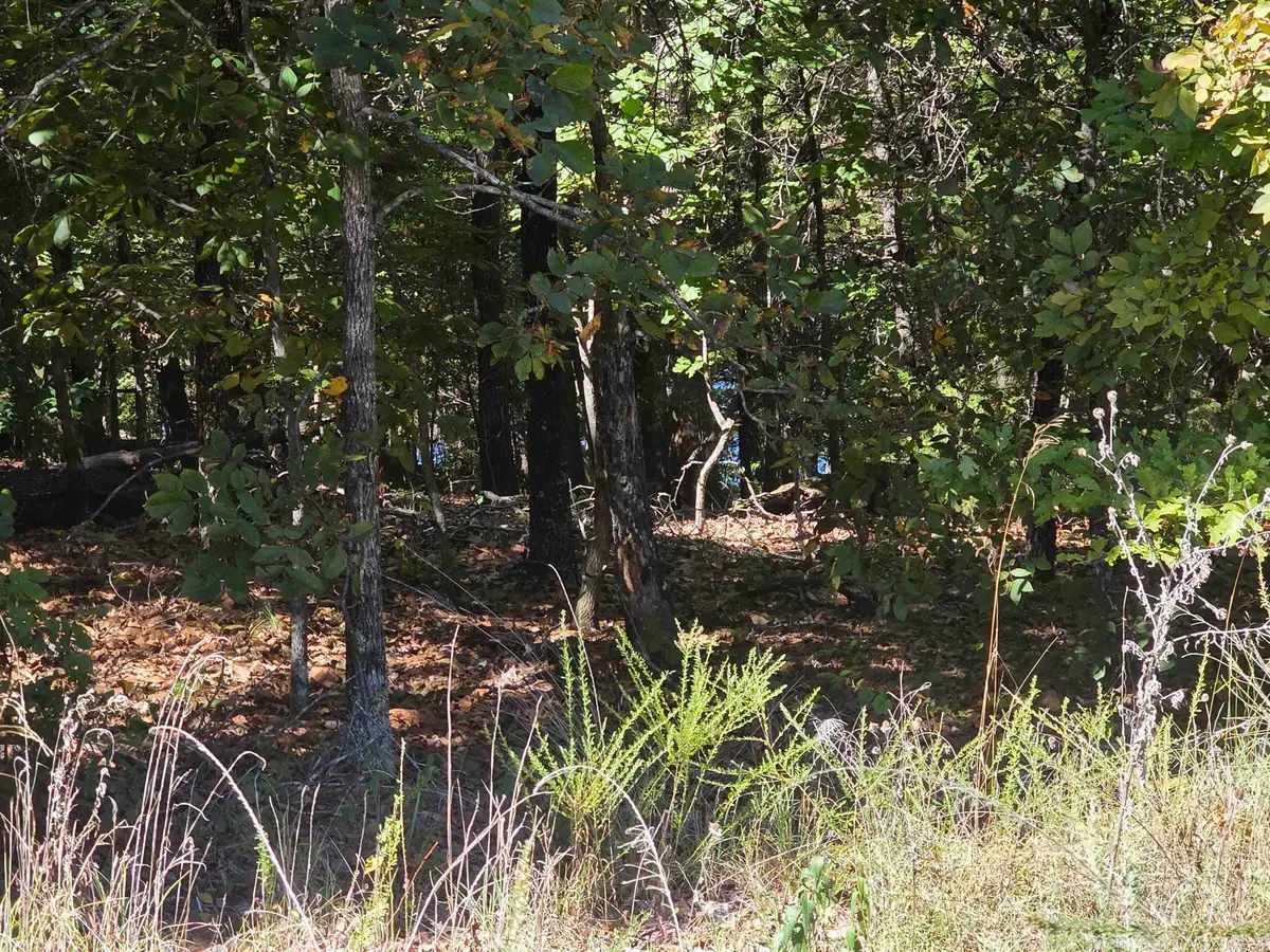 L-78, B-2 San Juan Trail, Cherokee Village, AR 72529 - #1