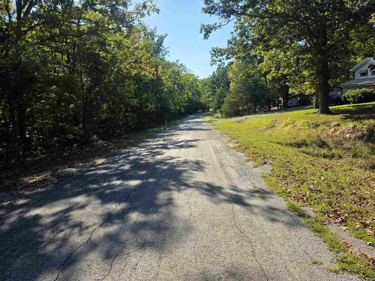 1007 E Wisconsin Avenue, Horseshoe Bend, AR 72512 - #1
