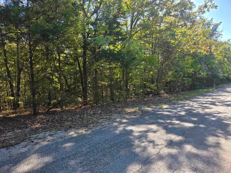 1007 E Wisconsin Avenue, Horseshoe Bend, AR 72512 - #2