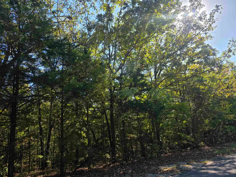1007 E Wisconsin Avenue, Horseshoe Bend, AR 72512 - #3