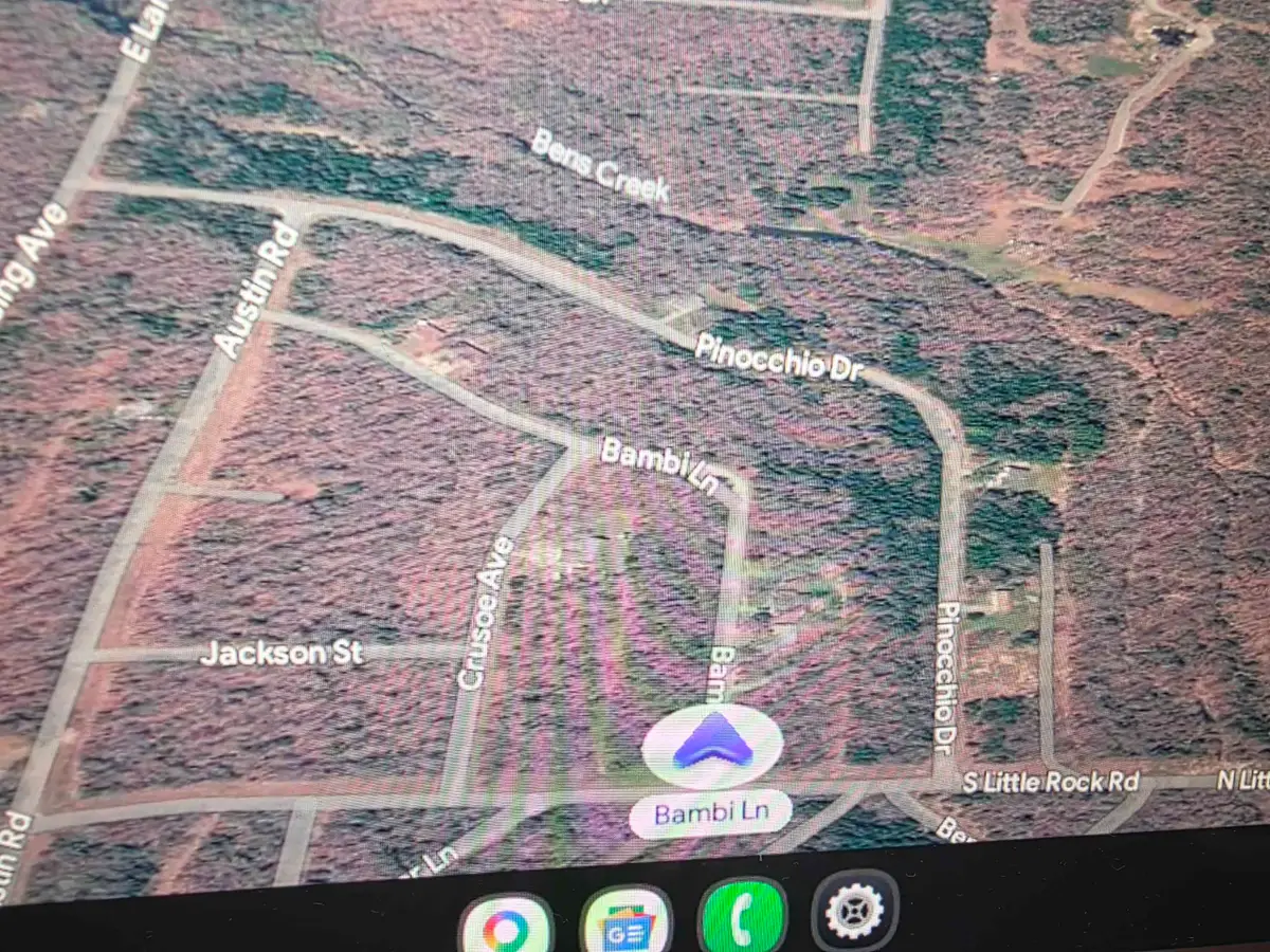 1001-1005 E Bambi Lane, Horseshoe Bend, AR 72512 - #1