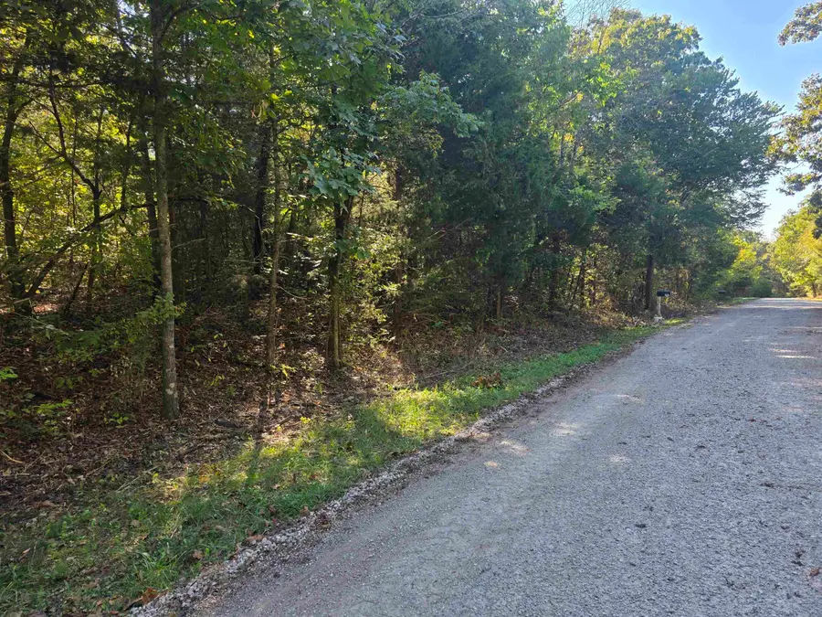 1001-1005 E Bambi Lane, Horseshoe Bend, AR 72512 - #3
