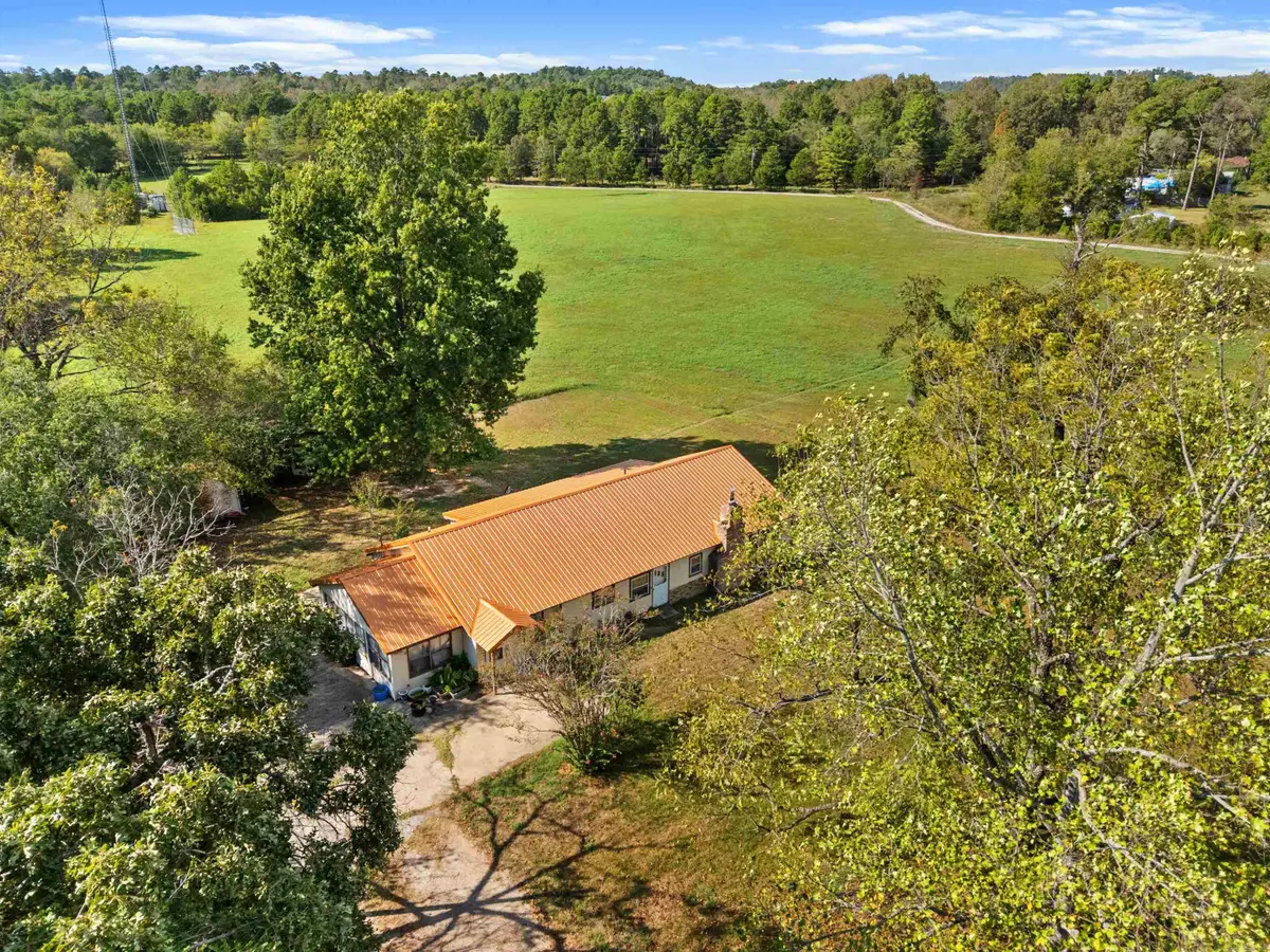 11235 Hwy 5 South, Salesville, AR 72653 - #1
