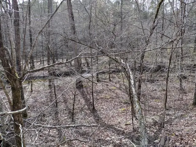 43 Mano Way, Hot Springs Village, AR 71909 - #2