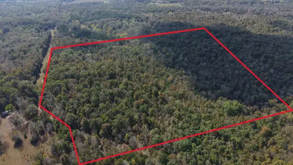 990 Moore Road, Evening Shade, AR 72532