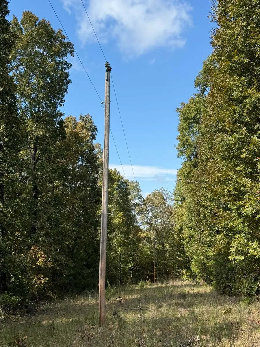 990 Moore Road, Evening Shade, AR 72532 - #2