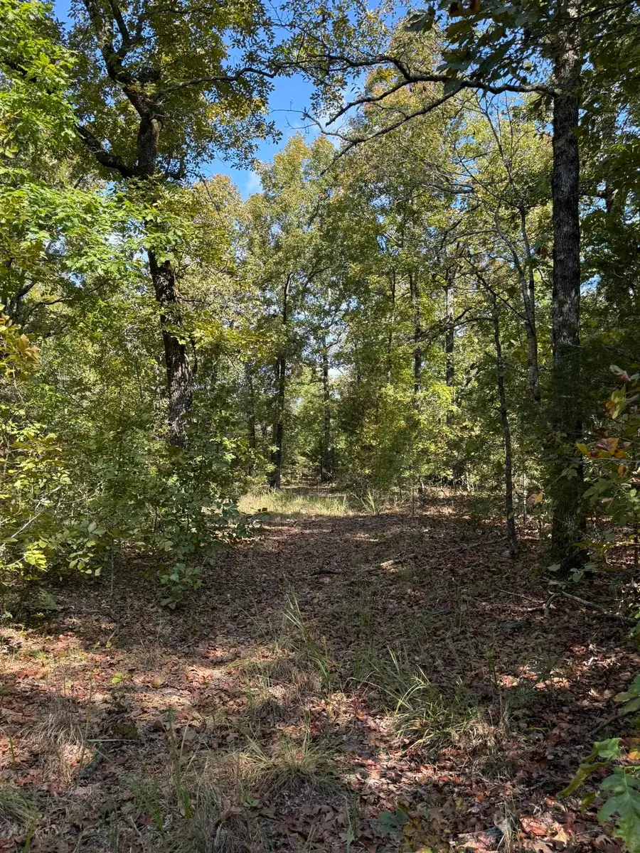 990 Moore Road, Evening Shade, AR 72532 - #3
