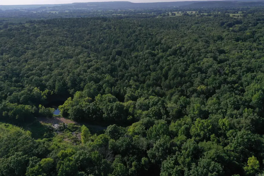 17803 Lucas Bottom Road, Booneville, AR 72927 - #3