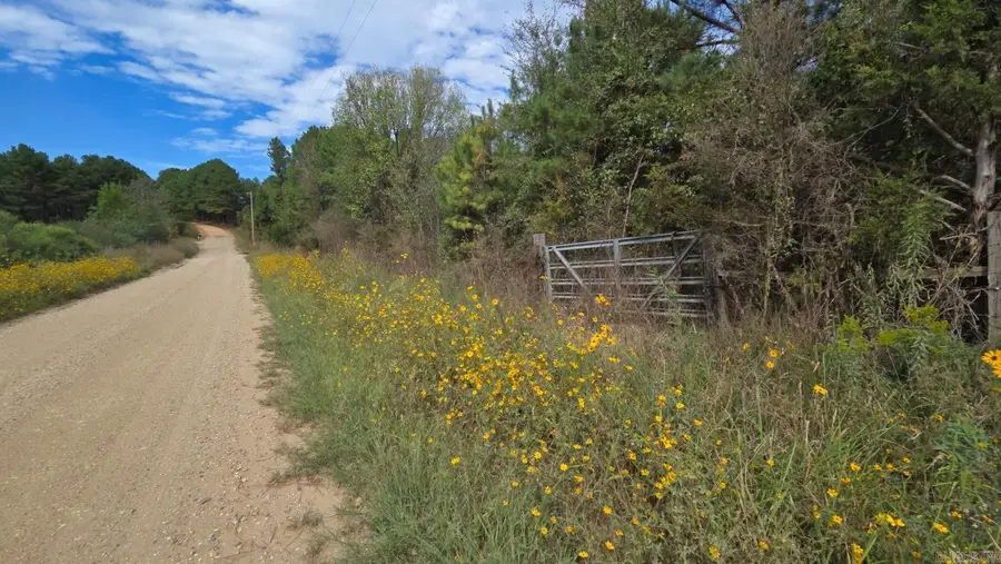 TBD (10 Acres) Lambert Rd, Bismarck, AR 71929 - #3