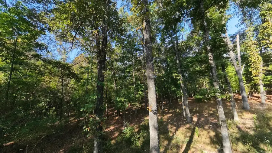 000 Riverbend Road- Lot 14, Mammoth Spring, AR 72554 - #3