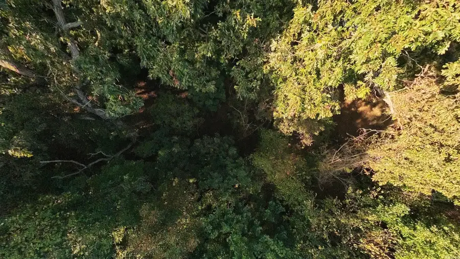 000 Riverbend Road- Lot 18, Mammoth Spring, AR 72554 - #3