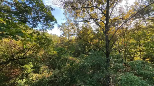 000 Riverbend Road- Lot 19, Mammoth Spring, AR 72554