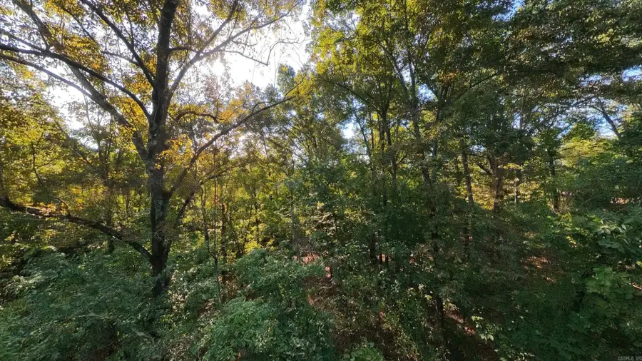 000 Riverbend Road- Lot 19, Mammoth Spring, AR 72554 - #3