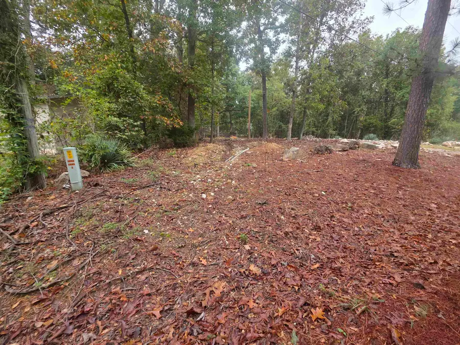 69 Sequoyah Ridge Road, Cherokee Village, AR 72529 - #3