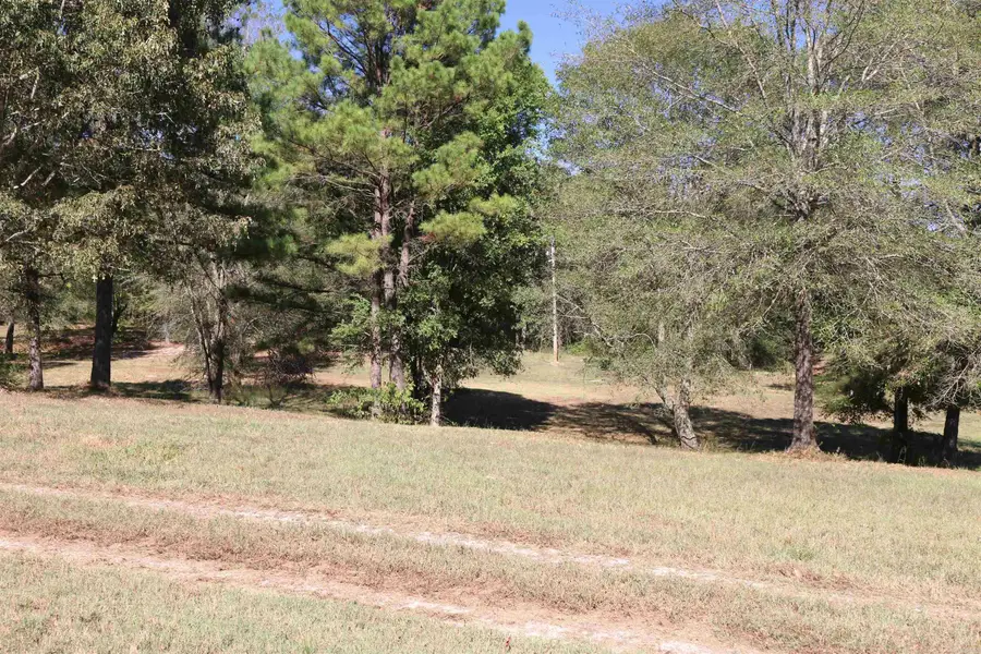Address Withheld By Seller, Bismarck, AR 71929 - #2