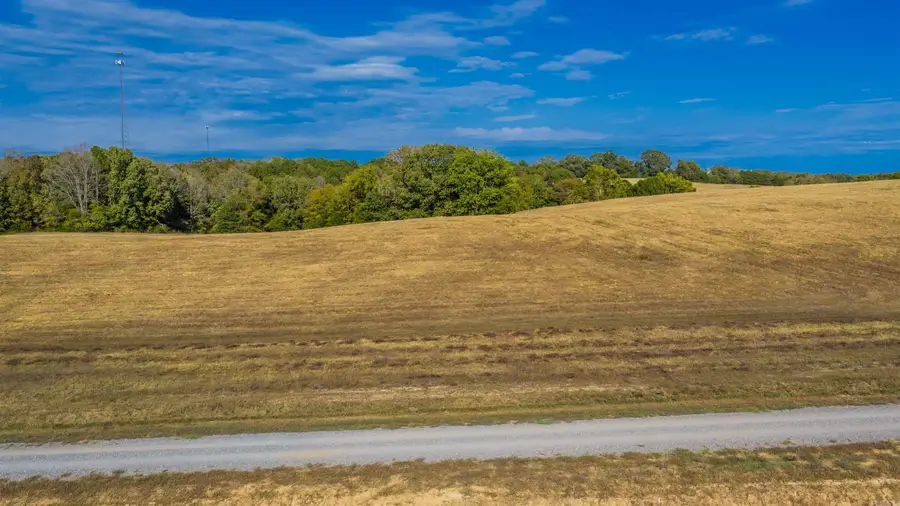 Lot 28 Reynolds Run, Quitman, AR 72131 - #2