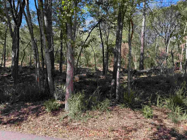 00 Cozy Acres, Mountain Pine, AR 71956