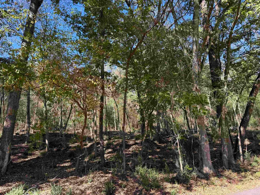 00 Cozy Acres, Mountain Pine, AR 71956 - #2
