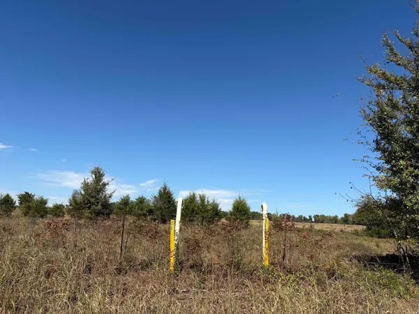 340 Hwy 124 W., Greenbrier, AR 72058
