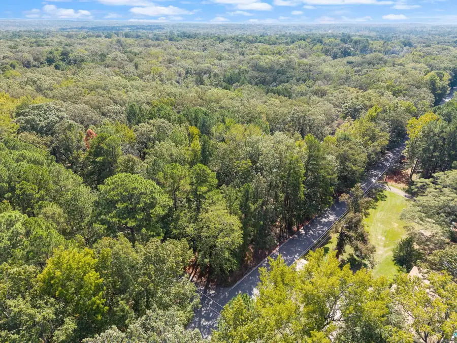 40 Acres Heinke Road, Mabelvale, AR 72103 - #3