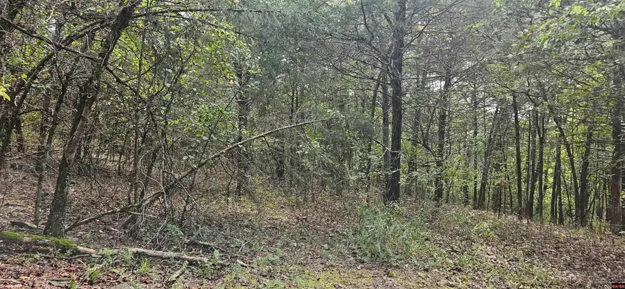 00 Cr 638, Mountain Home, AR 72653 - #2